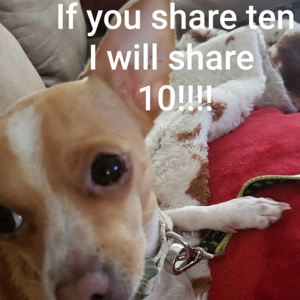 🙊🔥🔥If you share ten I share ten!!!💗